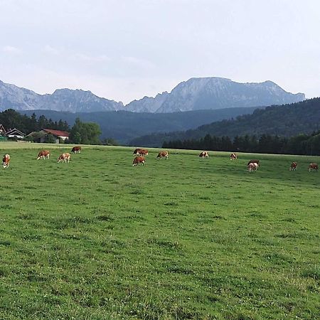 Strasser-Hof Teisendorf Esterno foto