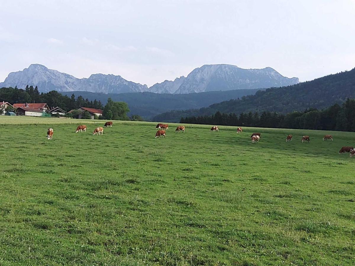 Strasser-Hof Teisendorf Esterno foto